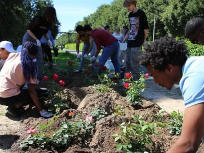 В ФЭИ появилась студенческая аллея роз!