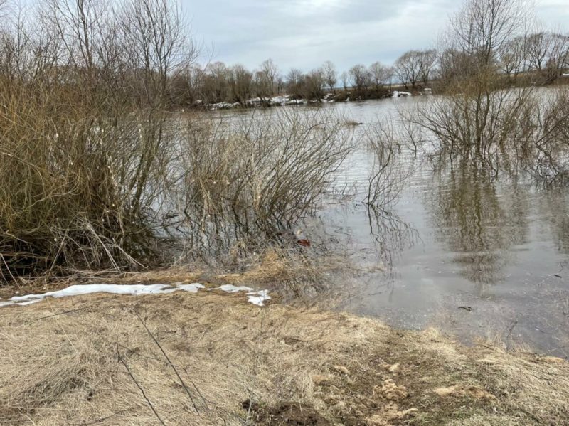 Муром ока подъем воды. Протва разлив. Подъем воды. Река Протва. Подъем воды в реке.