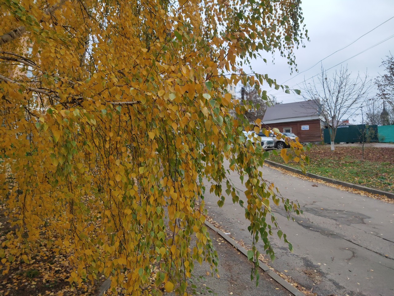 Когда потеплеет в калуге. Октябрь в народе.