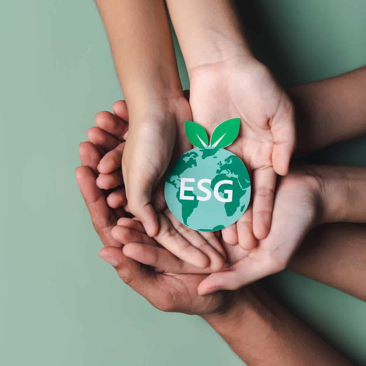 ESG Label liegt in diversen Händen
