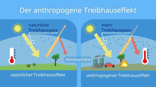 co2 kompensieren hilft gegen den anthropogenen treibhauseffekt