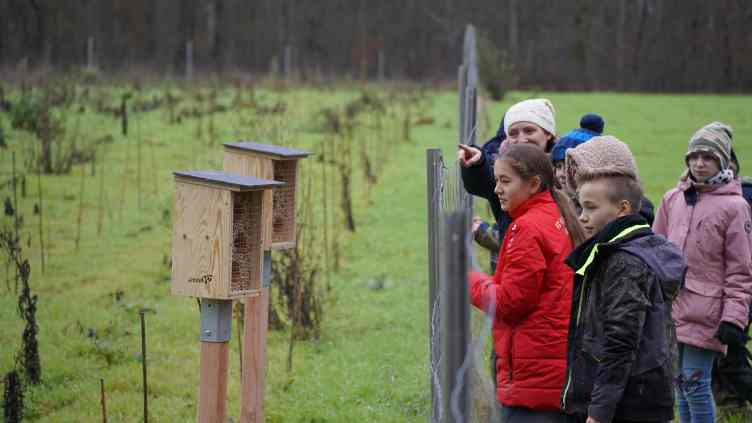 Schülerinnen und Schüller betrachten Wildbienenhäuser, die hinter einem Wildschutzzaun aufgebaut sind.