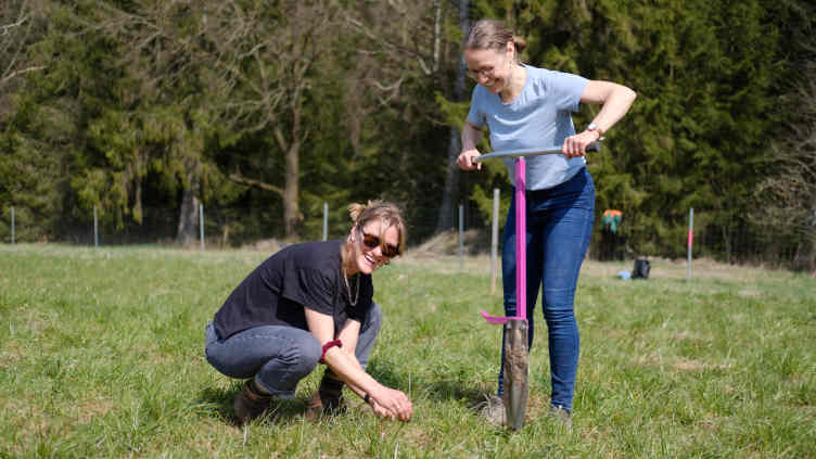 Zwei Frauen pflanzen einen Baum am Tag der gemeinschaftlichen Aufforstung
