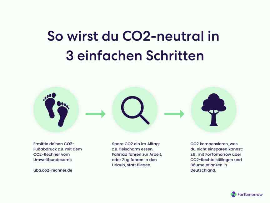CO<sub>2</sub> kompensieren in 3 Schritten
