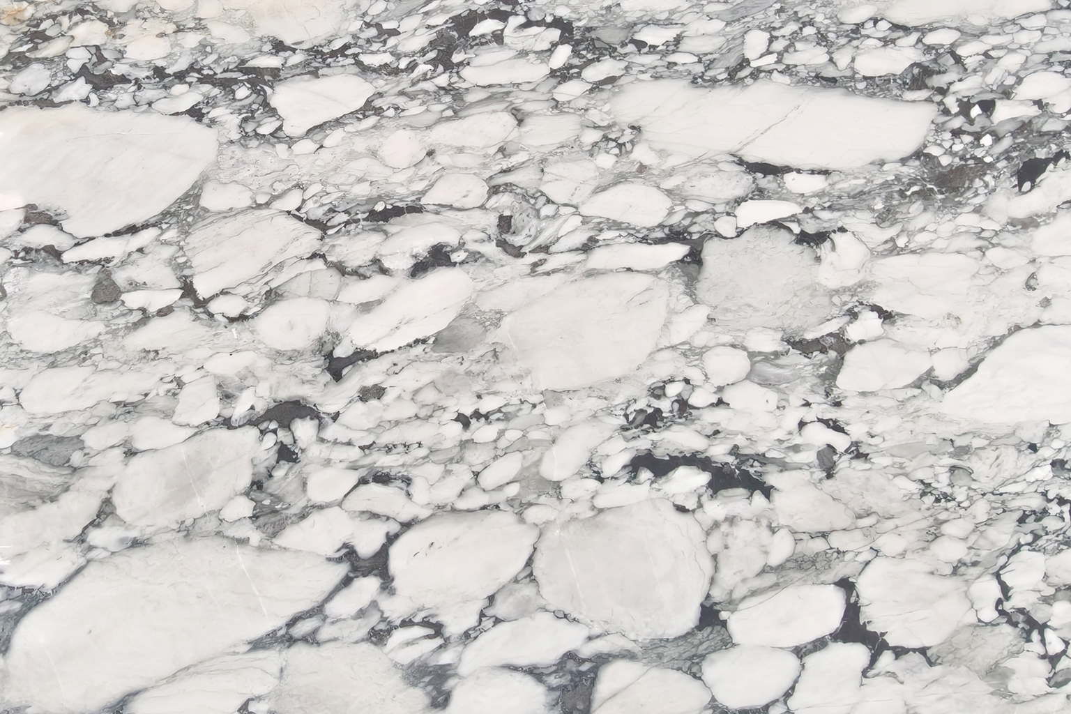 Arabescato Nuvola — full slab