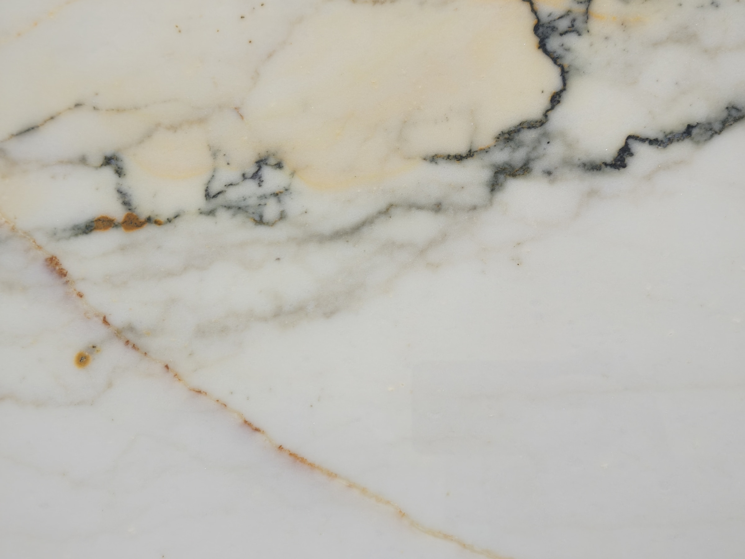 Paonazzo — full slab