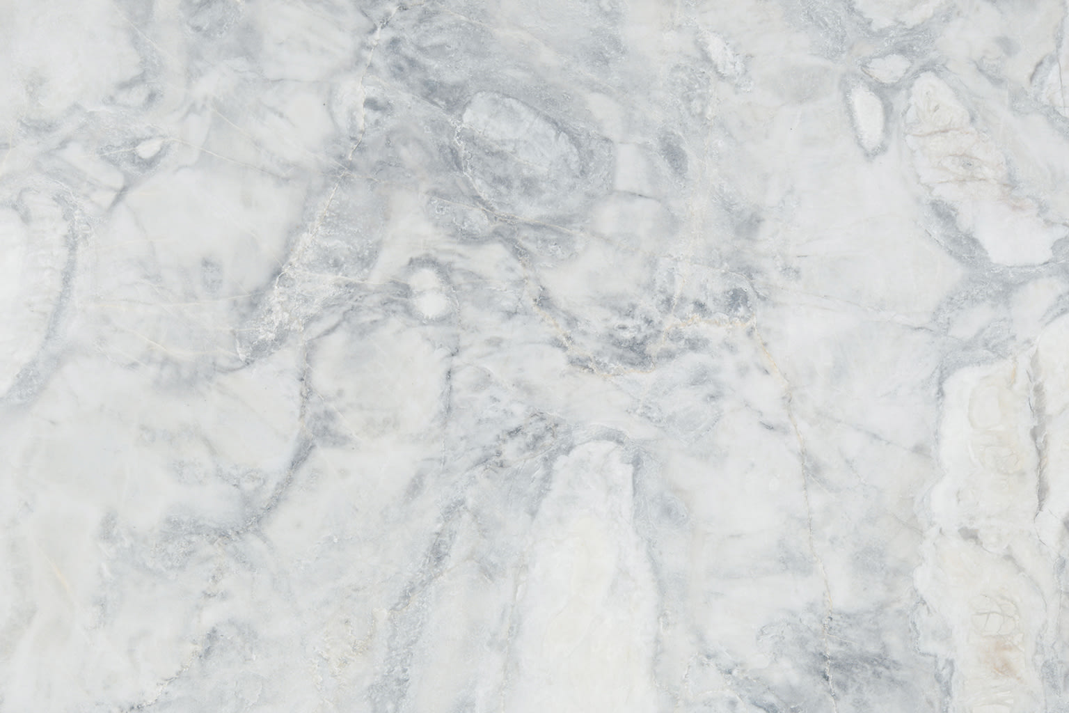 Oyster White — full slab