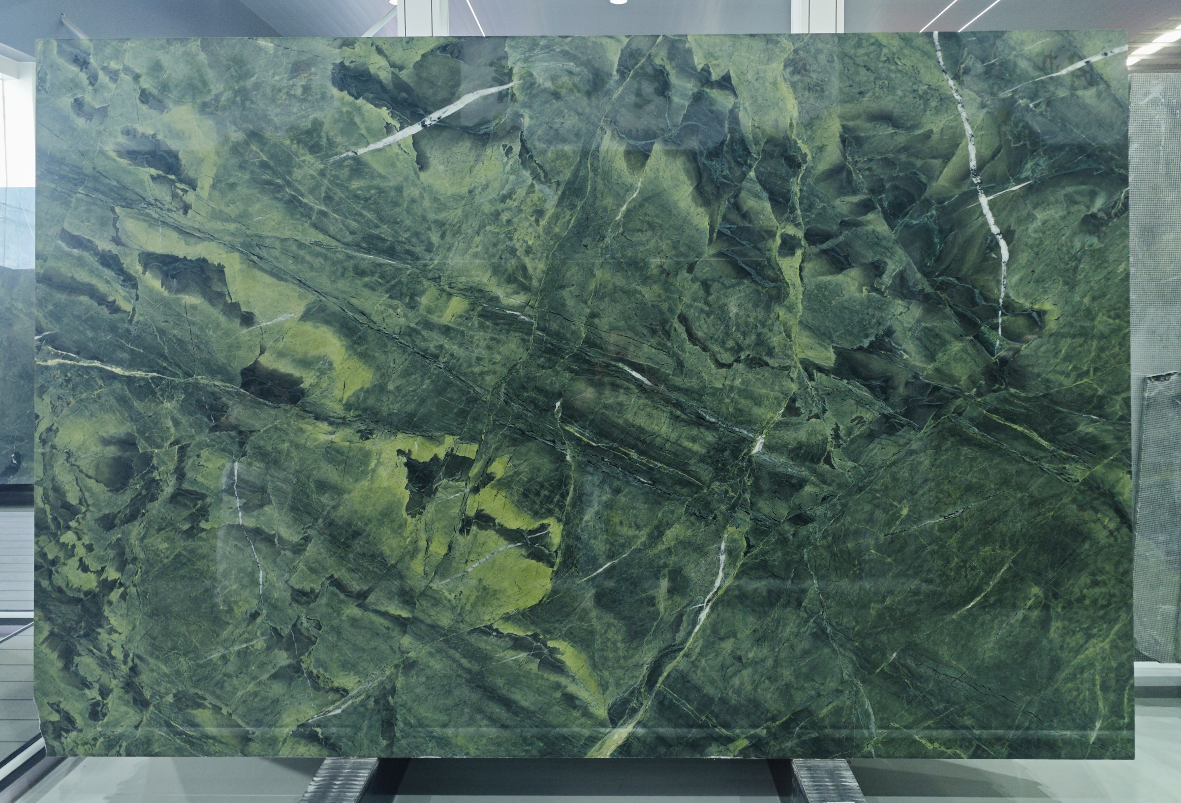 Rainforest Nocturne — view 2