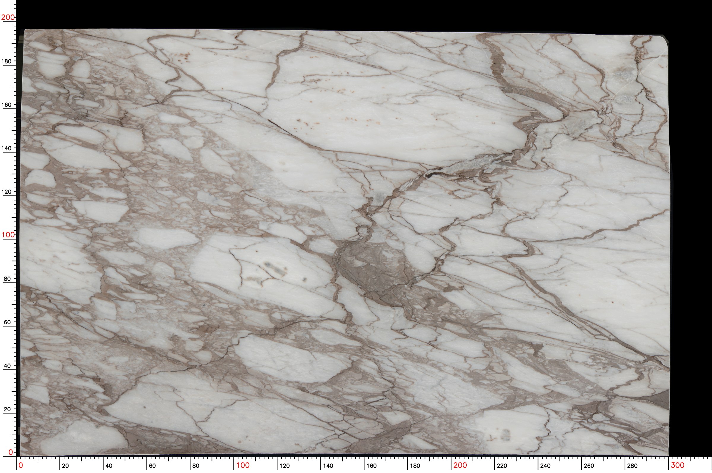 Calacatta Aurelia — view 3