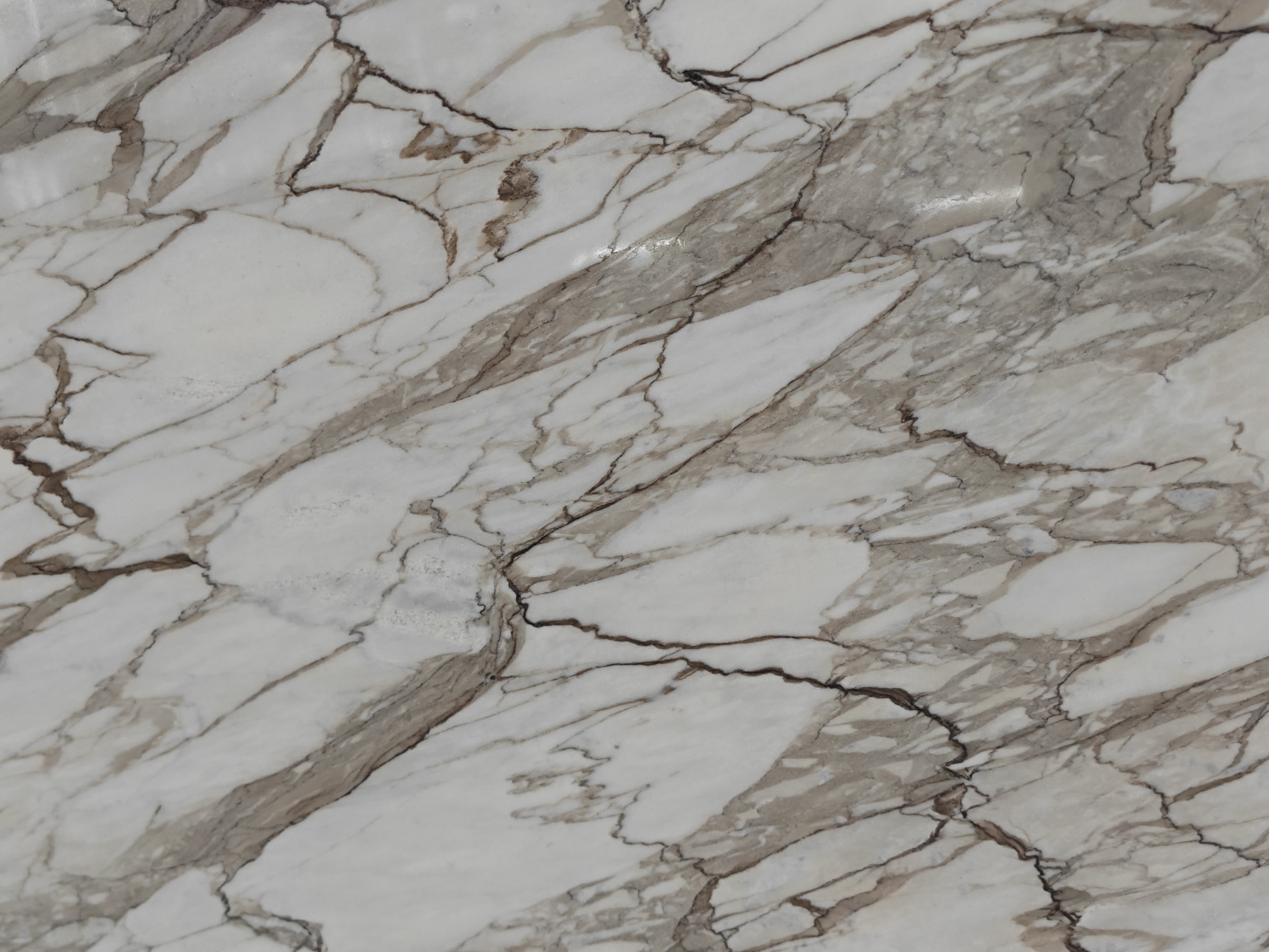 Calacatta Aurelia — full slab