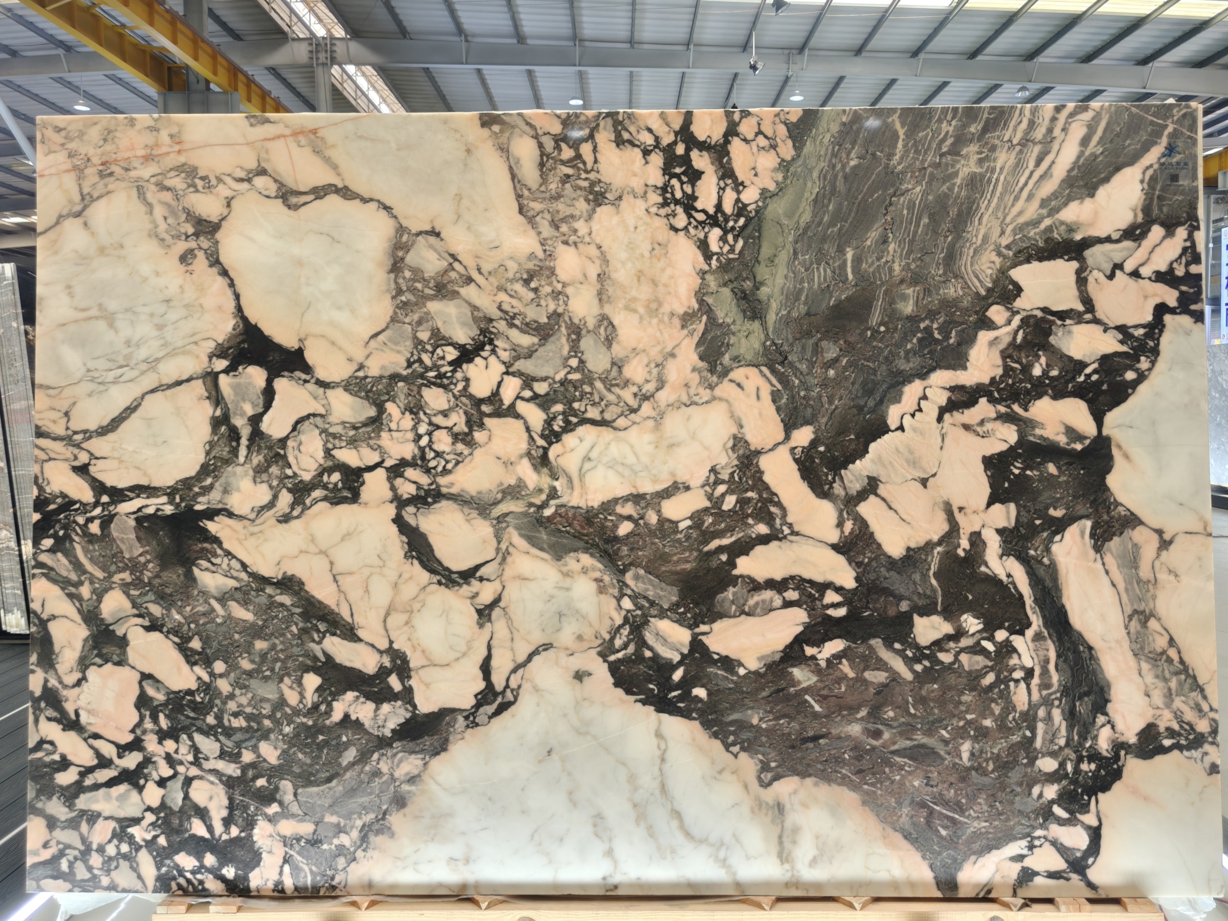 Calacatta Rosa — view 2