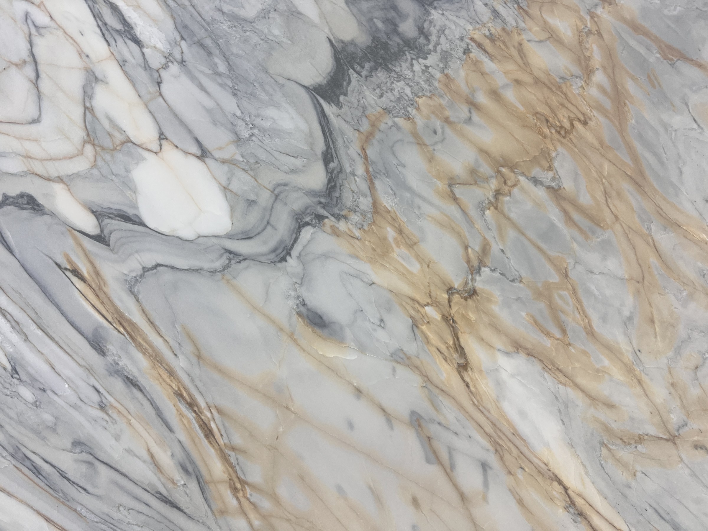 Elysian Gold — full slab