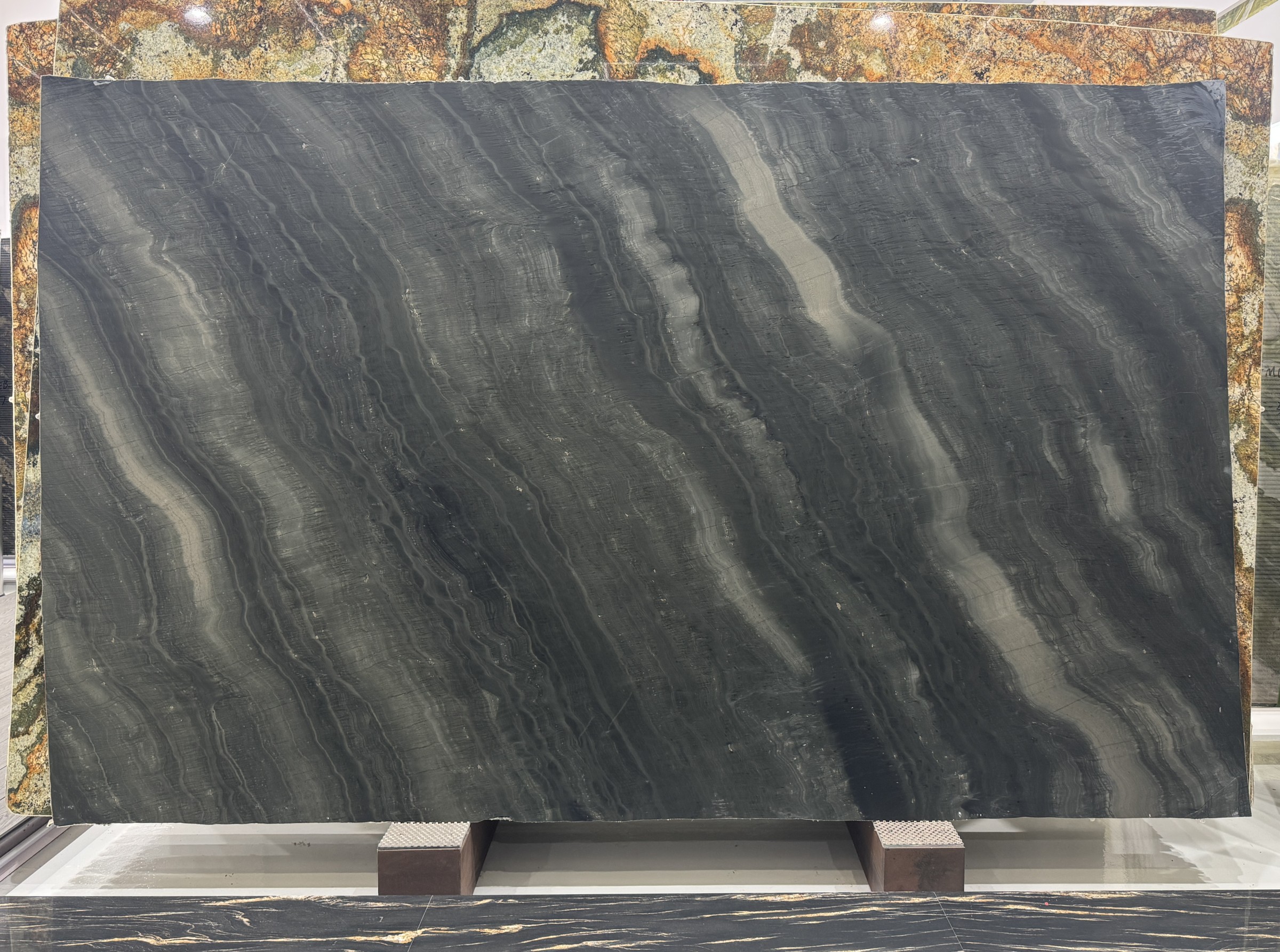 Galapagos Raphael — view 2