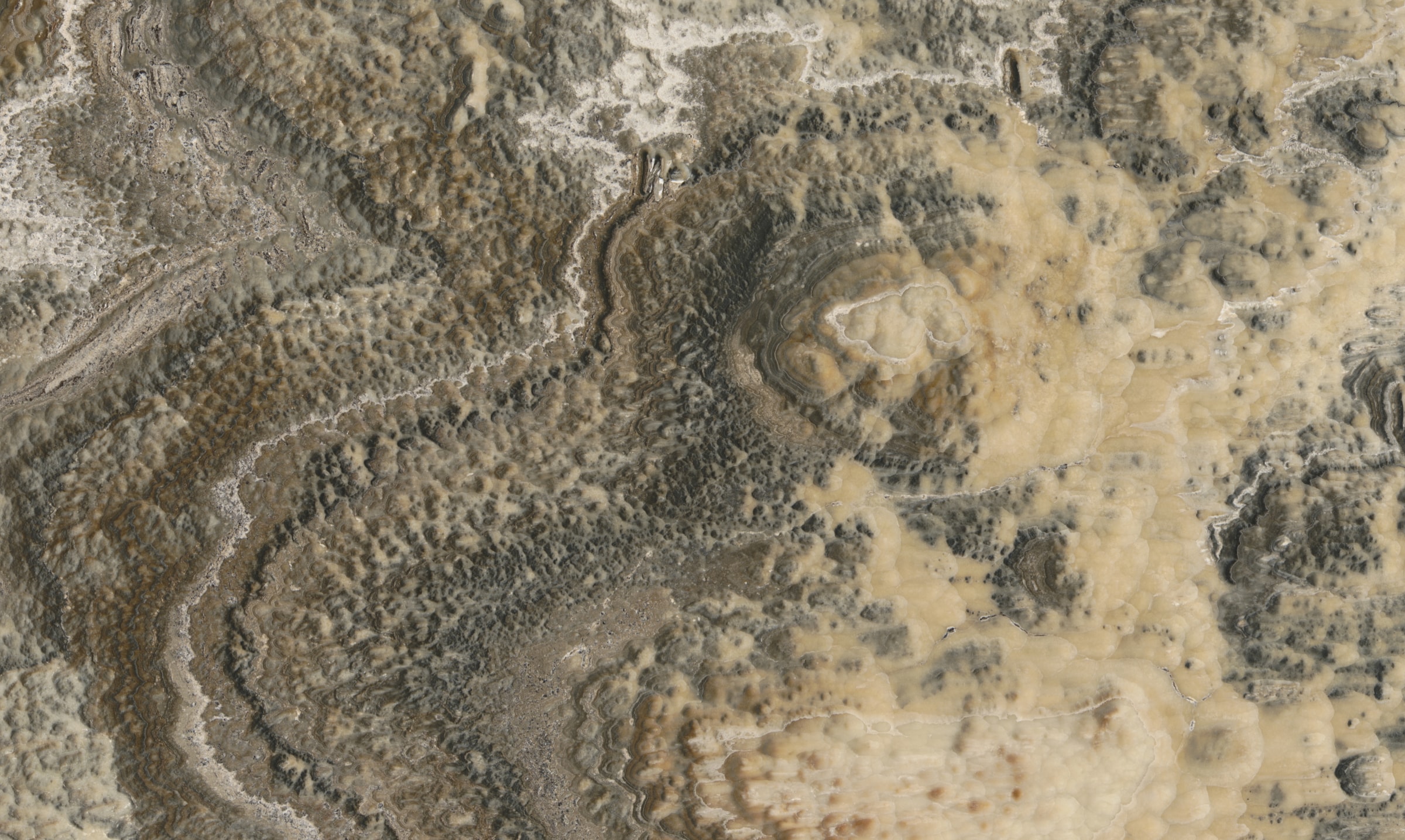 Beige Bubble Onyx — full slab