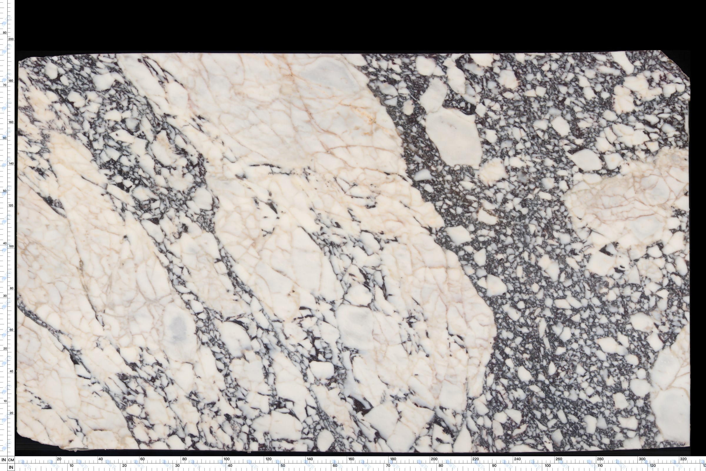 Calacatta Viola — view 5