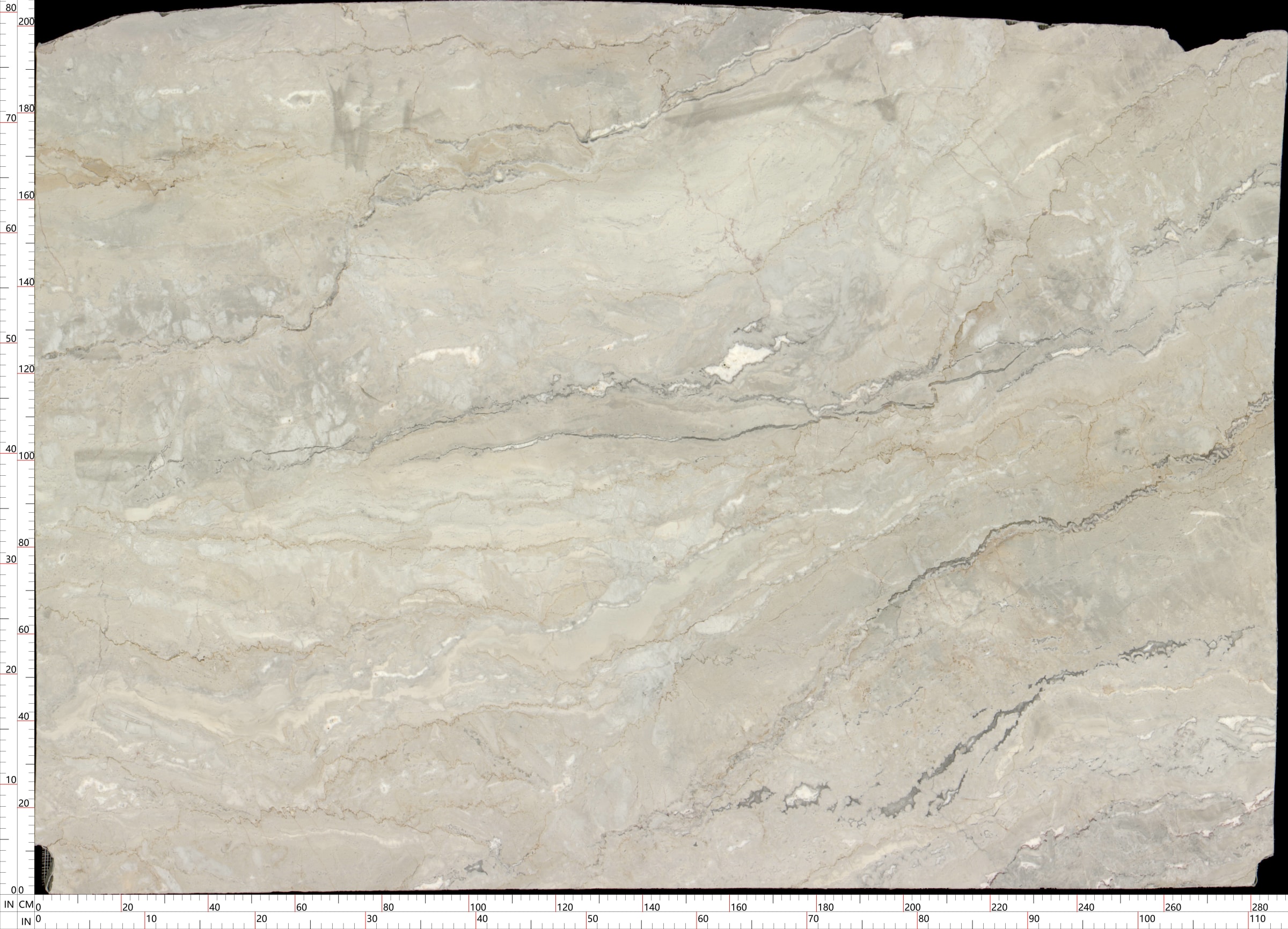 Australian Pearl — view 3