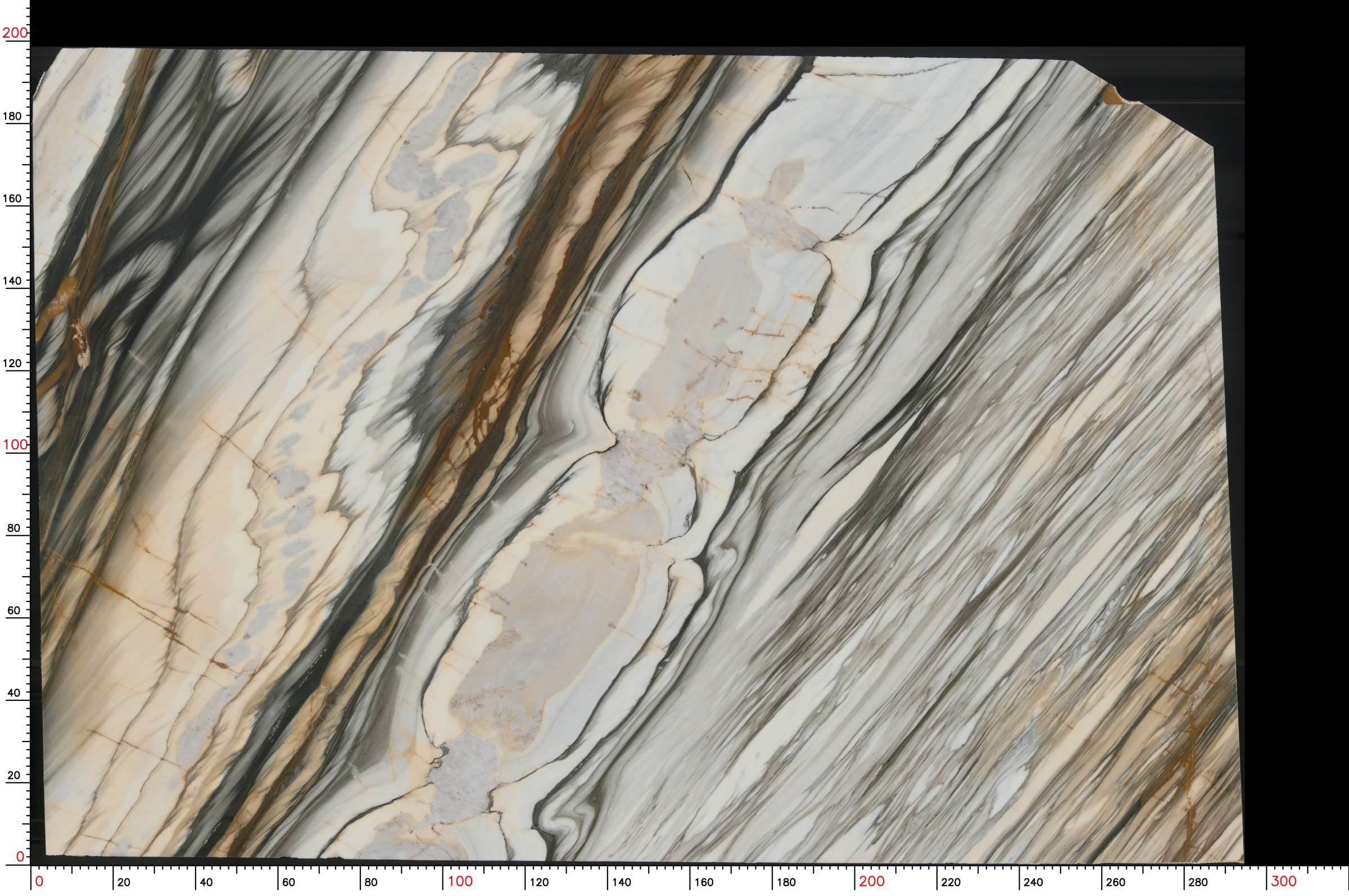 Calacatta Oyster — view 3