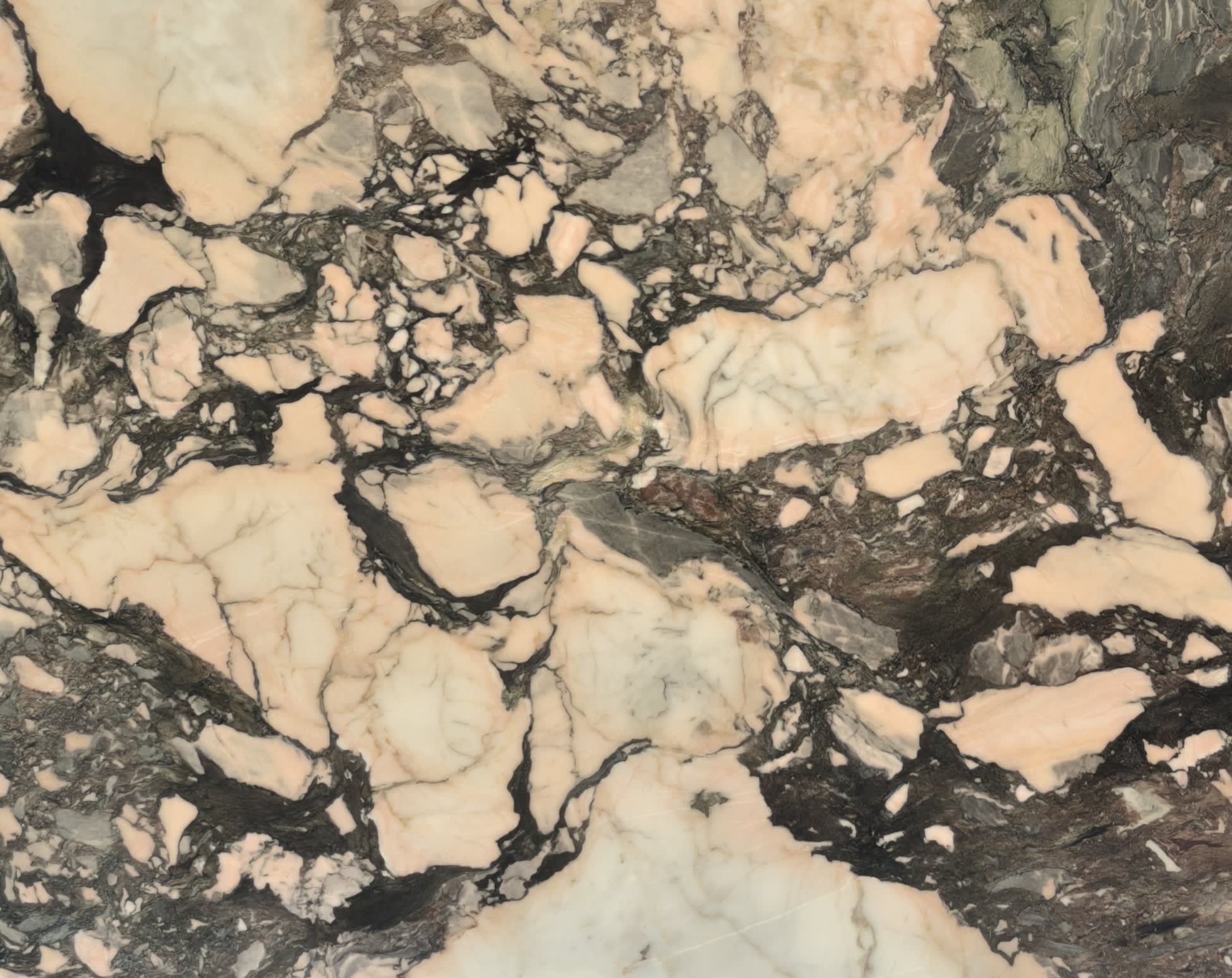 Calacatta Rosa — full slab