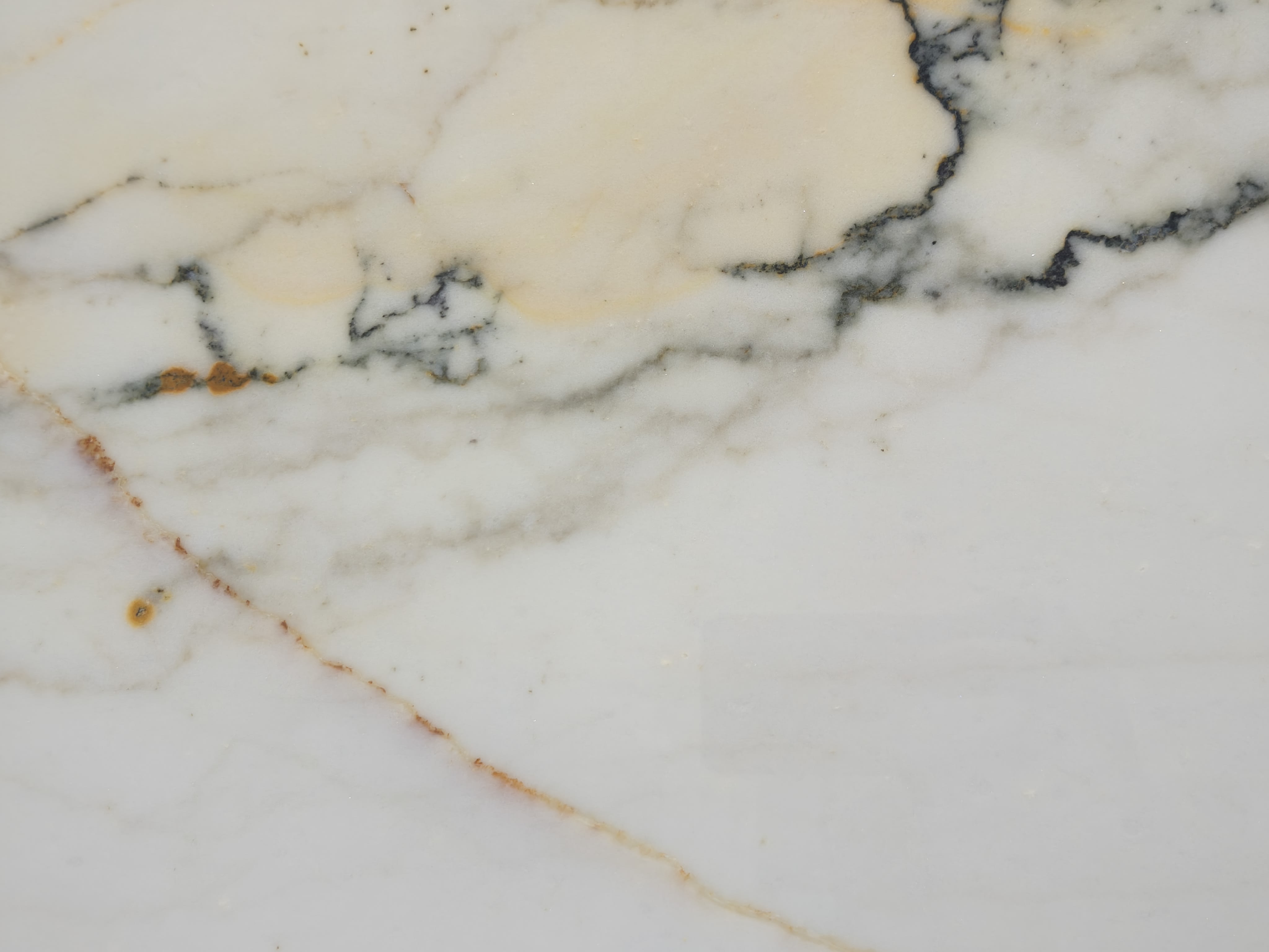 Paonazzo — full slab