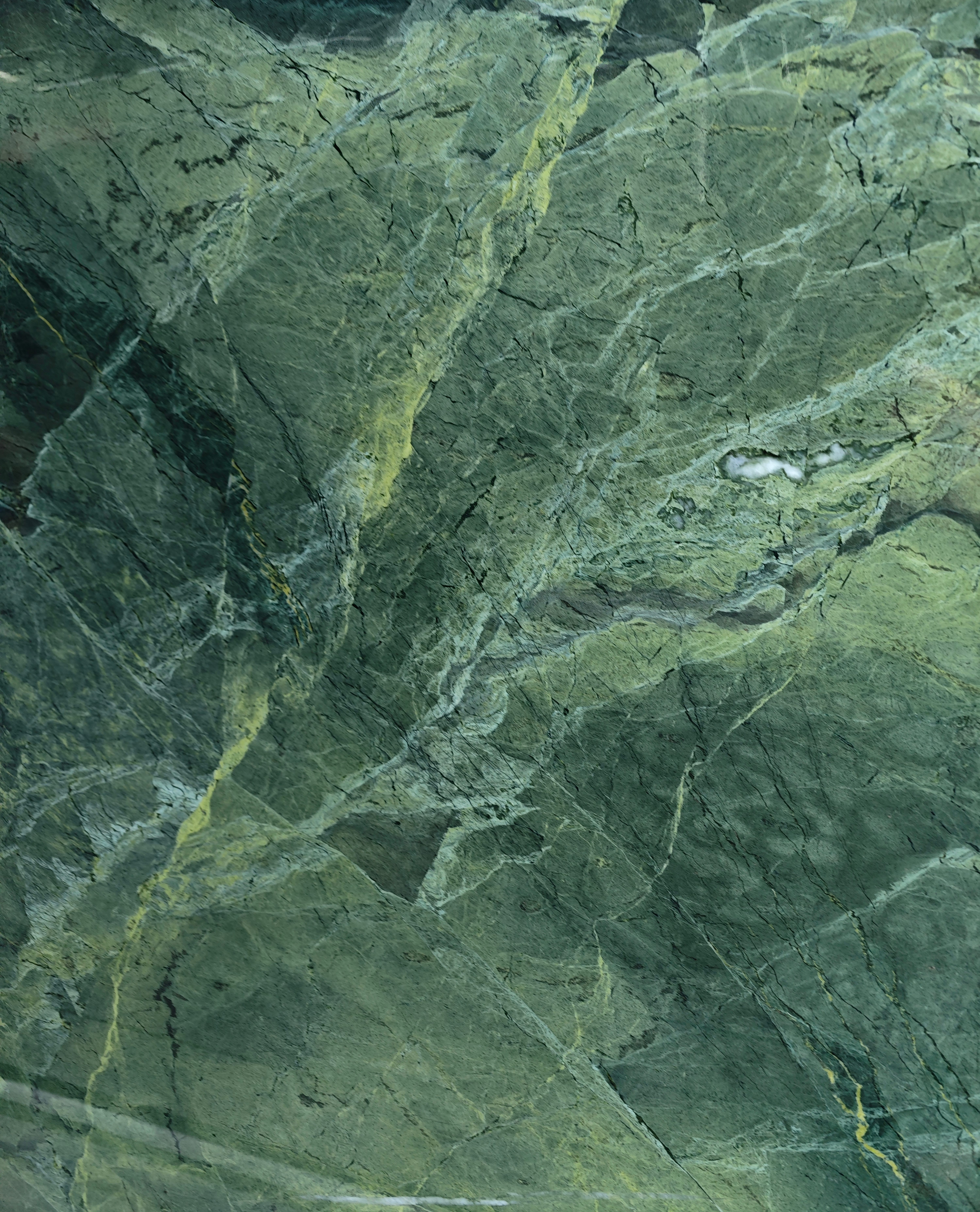     Rainforest Nocturne — full slab