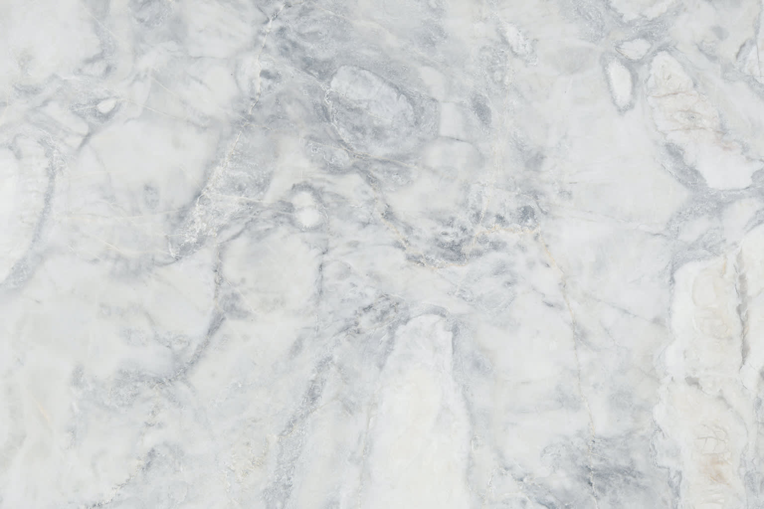 Oyster White