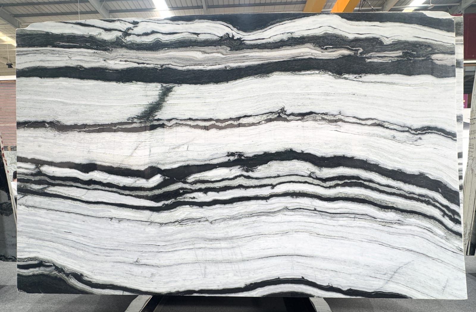 Panda White — view 2