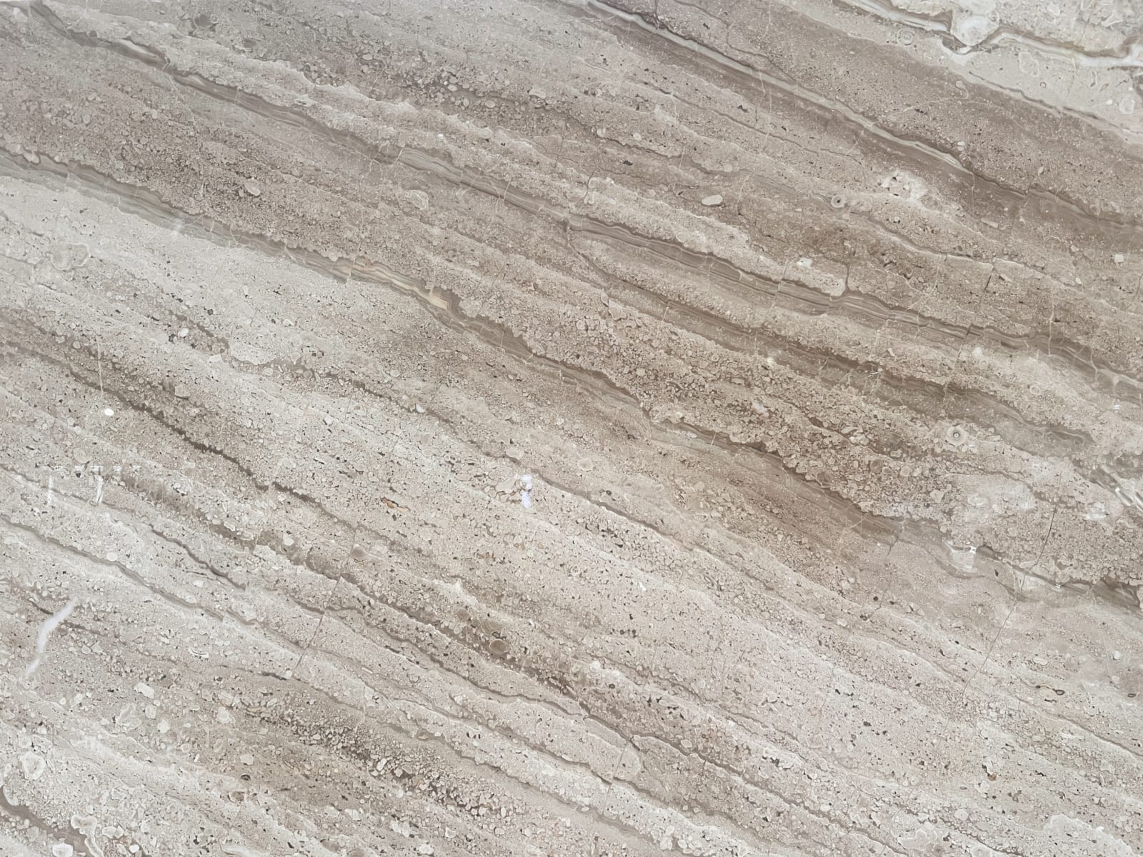 Dino Beige