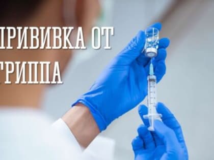 Новые инициативы по улучшению качества образования в регионе