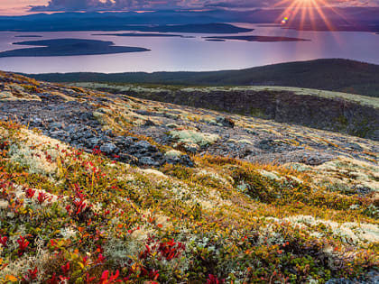 В Мурманской области пройдёт выборочное наблюдения доходов населения и участия в социальных программах