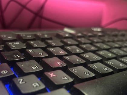 Блокировка интернет-ресурсов в Мурманской области из-за незаконной продажи ветеринарных препаратов
