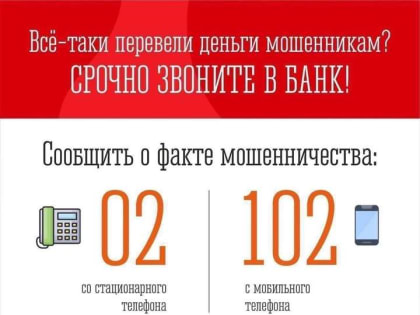 Телефонные и интернет мошенничества. Их количество в Мурманской области продолжает расти