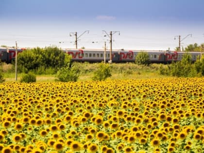 Возобновлена продажа билетов на поезд Мурманск-Анапа