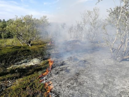 Северянам напомнили, что в регионе с 20 мая установлен пожароопасный сезон