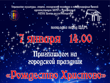 Городской рождественский праздник