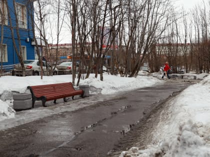 До +7 градусов ожидается в Мурманской области