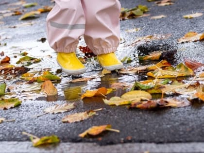 Внимание водителям: Госавтоинспекция Североморска предупреждает о безопасности на дорогах