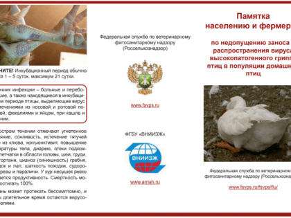 О сложной эпизоотической ситуации по гриппу птиц