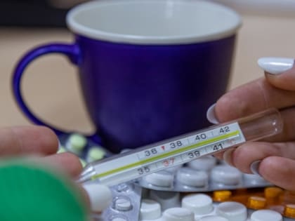 Количество заболевших орви и гриппом школьников увеличилось в Мурманской области