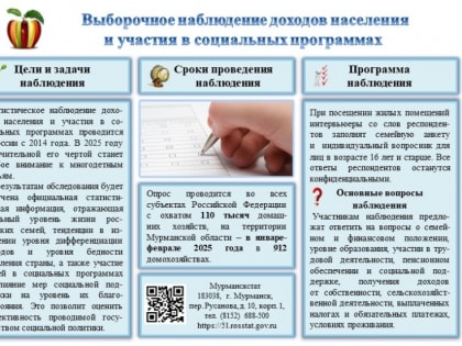 В мурманской области в 2025 году Состоится обследование рабочей силы