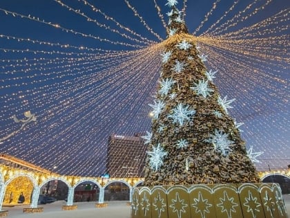 Жители региона могут поддержать свою елку на всероссийском конкурсе