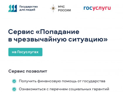 Новый цифровой сервис для пострадавших от ЧС в Курской области