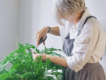 Бизнес-проекты северян могут получить поддержку кадрового центра