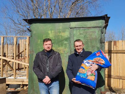 Ковдорчане требуют открытия муниципального приюта для бездомных животных