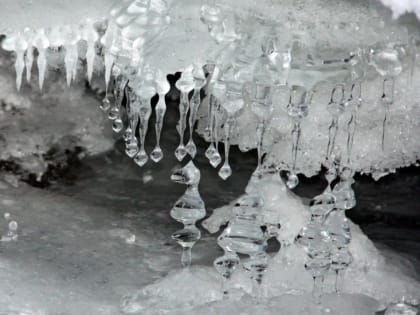 Крещенские купания в Североморске отменены