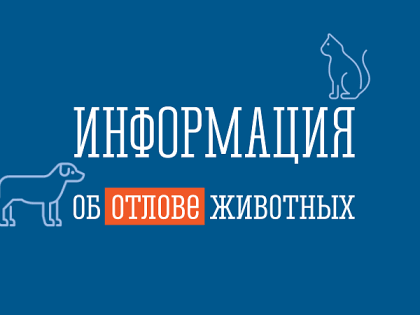 Информация об отлове собак без владельцев