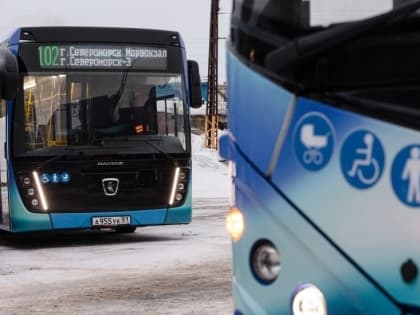 Единый социальный проездной билет можно пополнить очно в Сбербанке