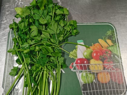 Северянам рассказали про удивительные свойства продукта