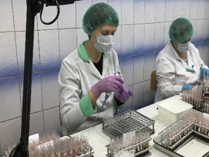 У яков, ослов и альпаков в Мурманской области в 2023 году сапа и бруцеллеза не обнаружено