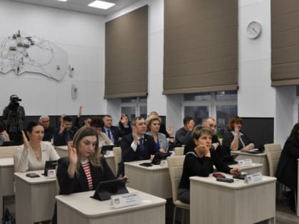 Прошло первое в новом году заседание Совета депутатов