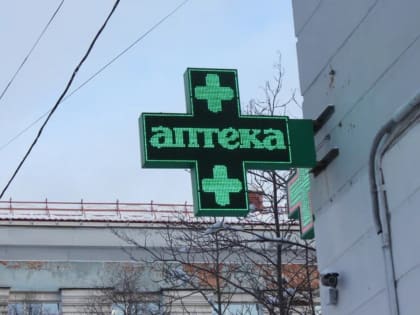 Из-за отсутствующего препарата жизнь мурманских собак под угрозой